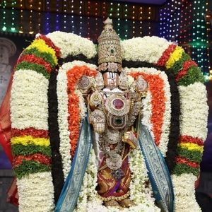 Meet your Posher, M. kreethana